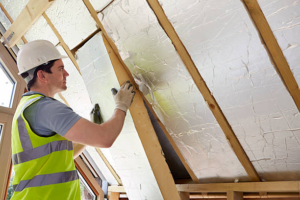 Best Insulation Installation Services in Collinsville, TX